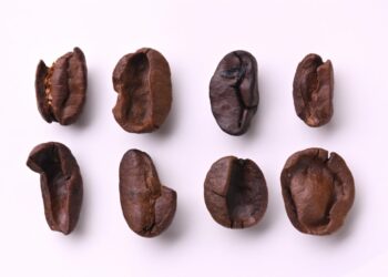 defekty v káve - poškodené zrná