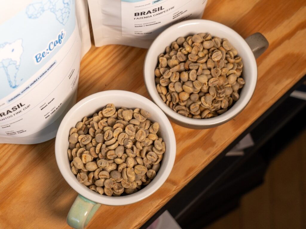 Brasil Santos Fine Cup a Brasil Fazenda Campestre – zelené zrno