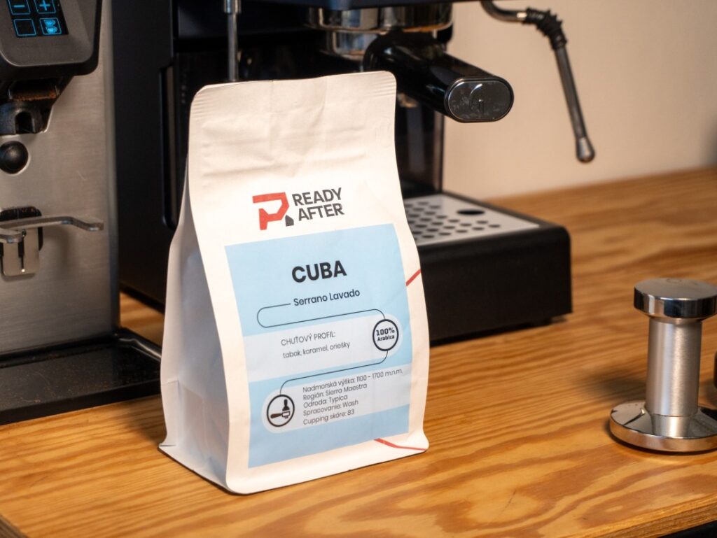 READY AFTER - Cuba Serrano Lavado - obal