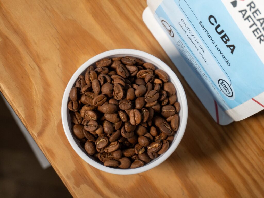 READY AFTER - Cuba Serrano Lavado - zrno