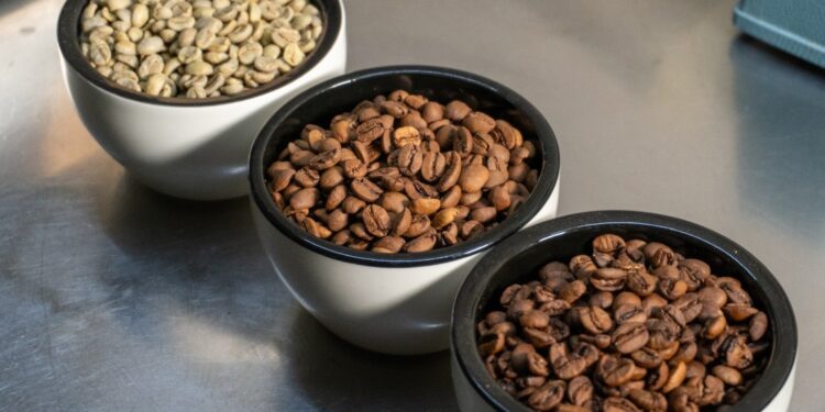 pokus - zelená svetlo a tmavo pražená káva