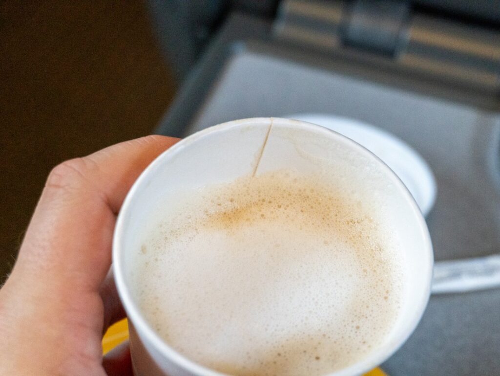 cappuccino v RegioJet – struktura mléčné pěny