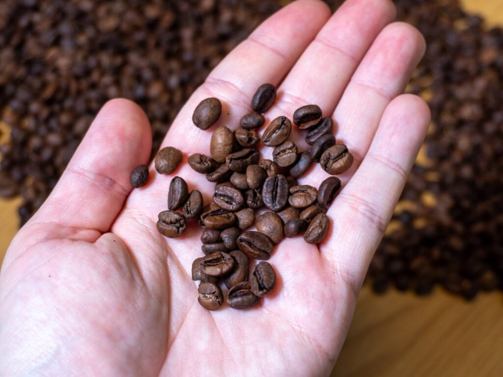 Doctors Protocol Coffee – zrno na ruce