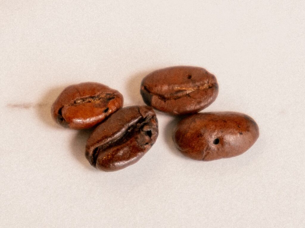 DM Bio Espresso – zrna poškozená hmyzem